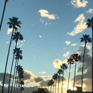 Meet your Posher, Deann